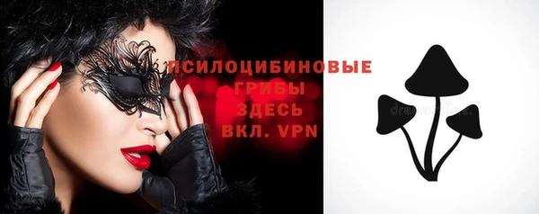 индика Тольятти