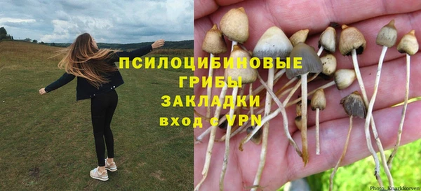 стаф Ижевск