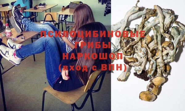 сатива Барнаул