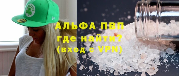 стаф Ижевск