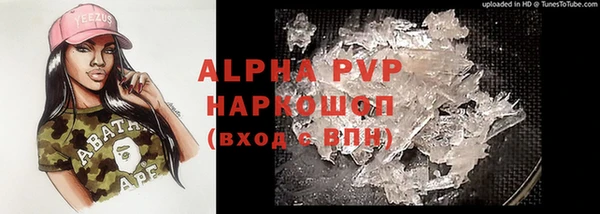 сатива Барнаул