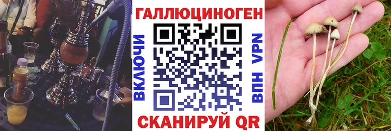 Псилоцибиновые грибы GOLDEN TEACHER  купить наркотик  Пятигорск 