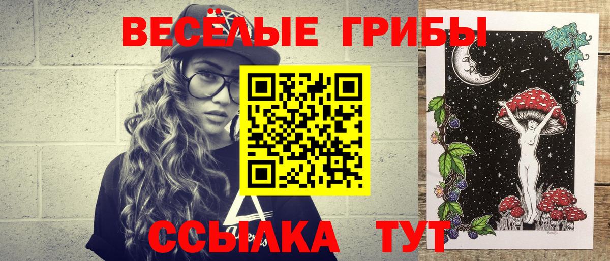 Галлюциногенные грибы Psilocybine cubensis  Вход с VPN  Галлюциногенные грибы мухоморы  Пятигорск 