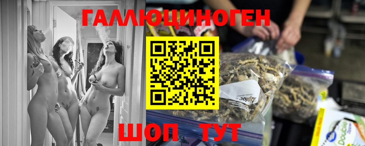 NBOMe Пятигорск