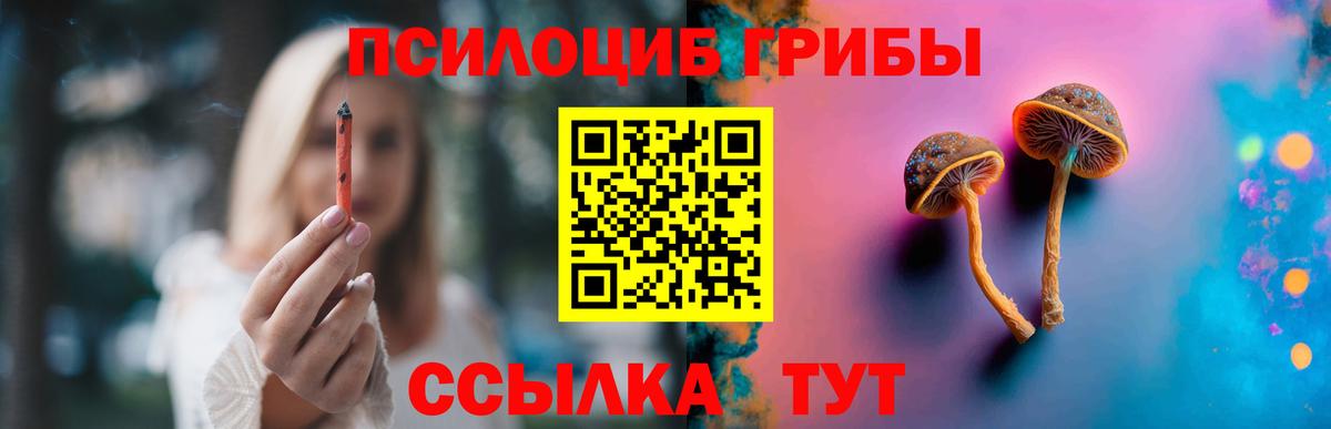 Псилоцибиновые грибы Psilocybine cubensis Пятигорск