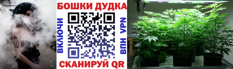 магазин продажи   Пятигорск  Марихуана MAZAR 