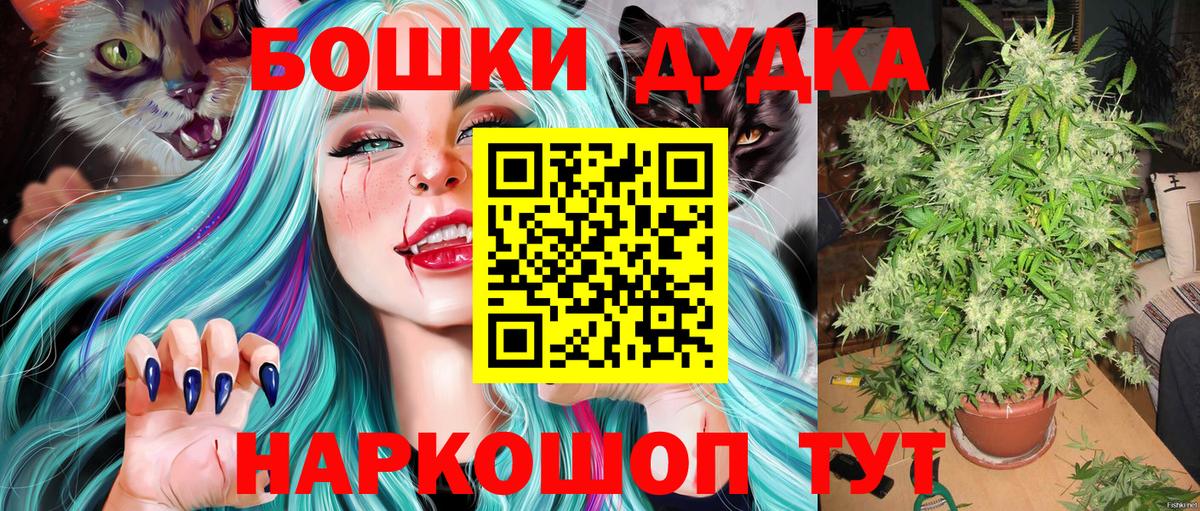 Конопля план Пятигорск